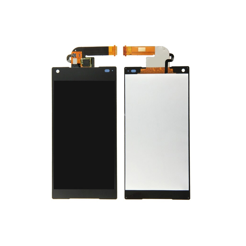 4.6-inch LCD display